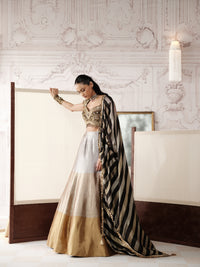 BLACK AND GOLD EMBROIDERED TISSUE SILK LEHENGA SET