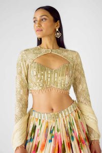 CLASSIC BEIGE FLORAL LEHENGA CHOLI WITH LONG SLEEVED BLOUSE