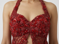 RED EMBROIDERED HALTER NECK TOP AND PLEATED SKIRT INDOWESTERN SET