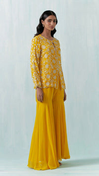 MUSTARD BEADS EMBROIDERED SHARARA SET