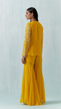 MUSTARD BEADS EMBROIDERED SHARARA SET