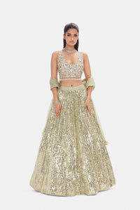 PISTA GREEN SEQUINS EMBROIDERED LEHENGA SET