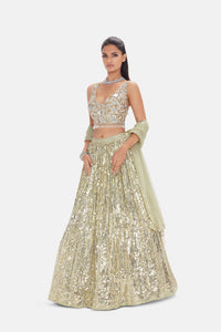 PISTA GREEN SEQUINS EMBROIDERED LEHENGA SET