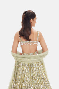 PISTA GREEN SEQUINS EMBROIDERED LEHENGA SET