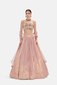 PASTEL PINK MIRROR EMBROIDERED LEHENGA SET