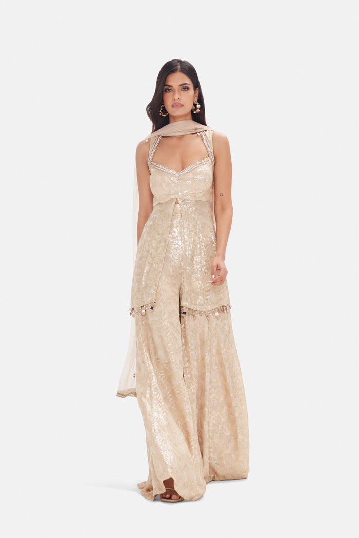 BEIGE SHARARA SET WITH INTRICATE EMBROIDREY