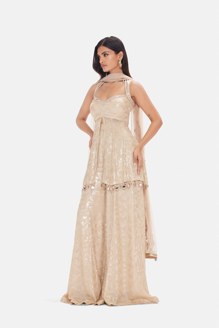 BEIGE SHARARA SET WITH INTRICATE EMBROIDREY