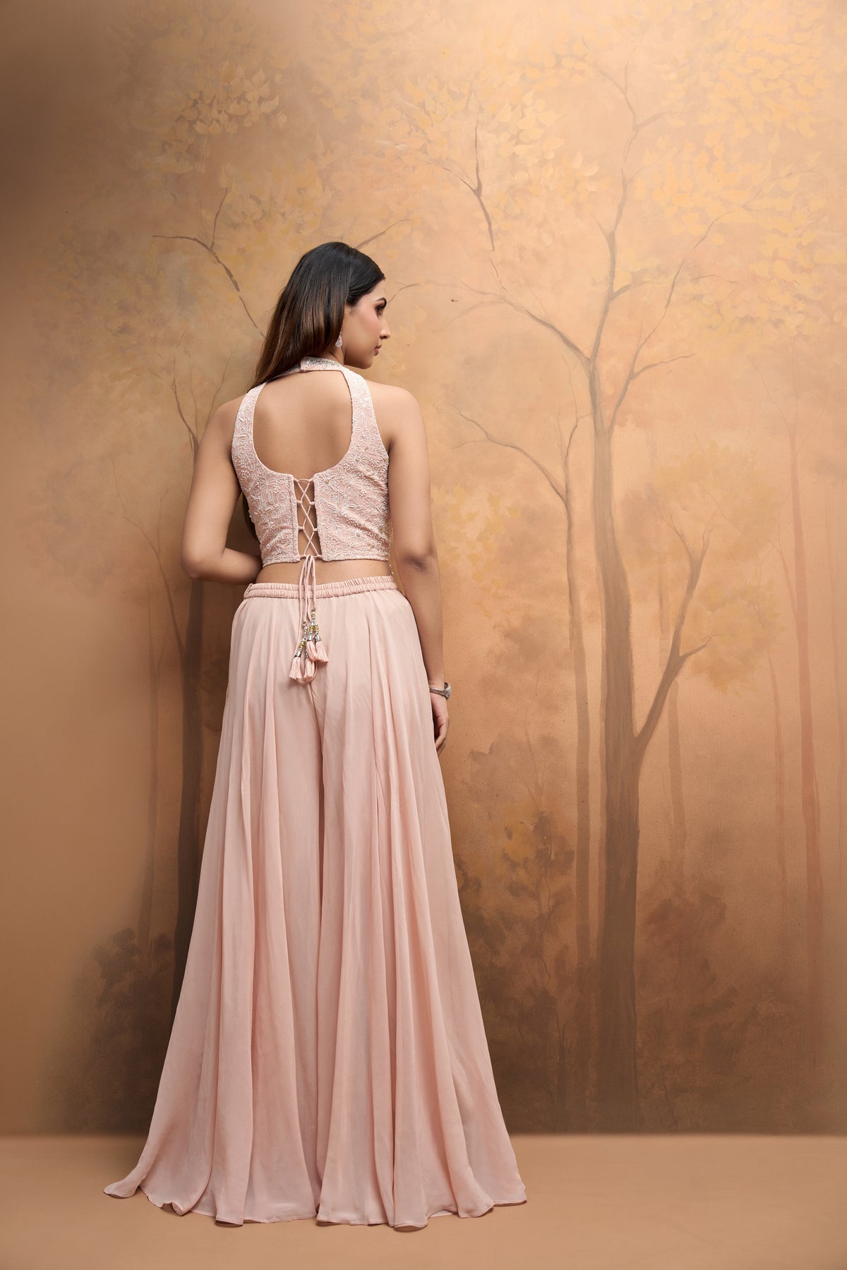 Ace Lucknowi work corset sharara set elegant Indian ethnic outfit for festive occasions
